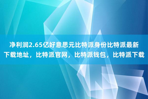 净利润2.65亿好意思元比特派身份比特派最新下载地址，比特派官网，比特派钱包，比特派下载