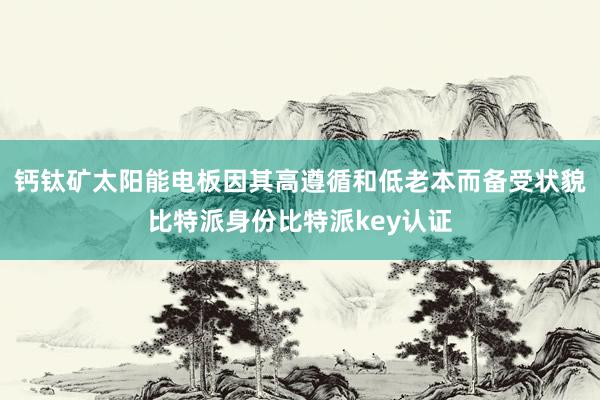 钙钛矿太阳能电板因其高遵循和低老本而备受状貌比特派身份比特派key认证