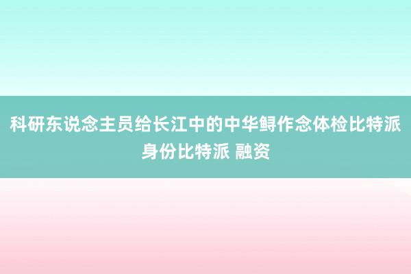 科研东说念主员给长江中的中华鲟作念体检比特派身份比特派 融资