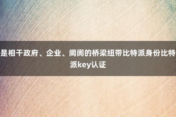 是相干政府、企业、阛阓的桥梁纽带比特派身份比特派key认证