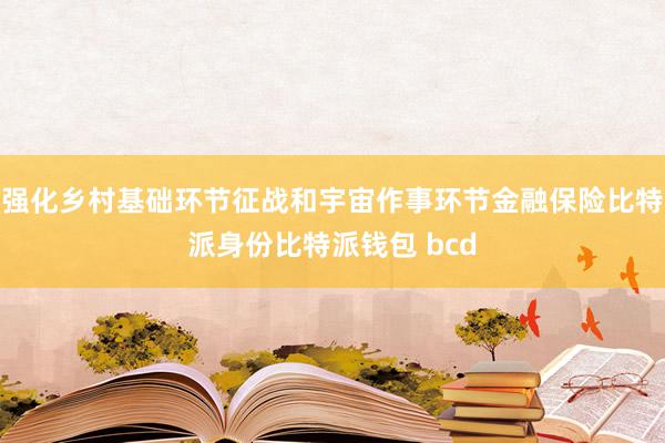 强化乡村基础环节征战和宇宙作事环节金融保险比特派身份比特派钱包 bcd