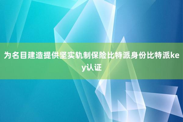 为名目建造提供坚实轨制保险比特派身份比特派key认证