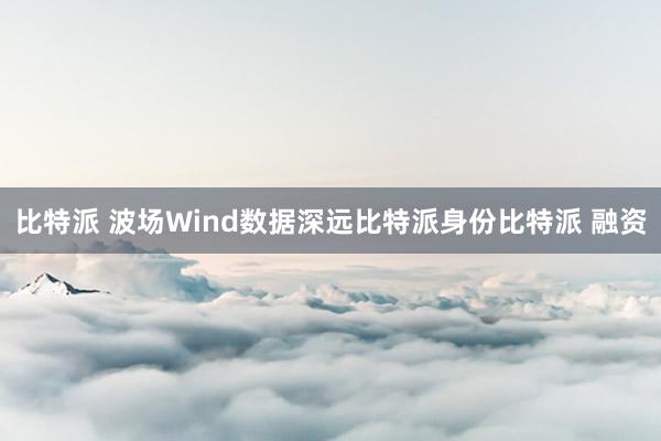 比特派 波场Wind数据深远比特派身份比特派 融资