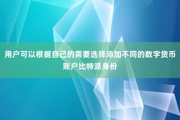 用户可以根据自己的需要选择添加不同的数字货币账户比特派身份