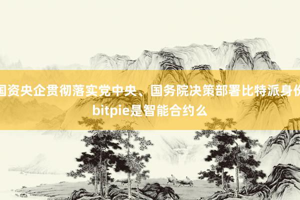 国资央企贯彻落实党中央、国务院决策部署比特派身份bitpie是智能合约么