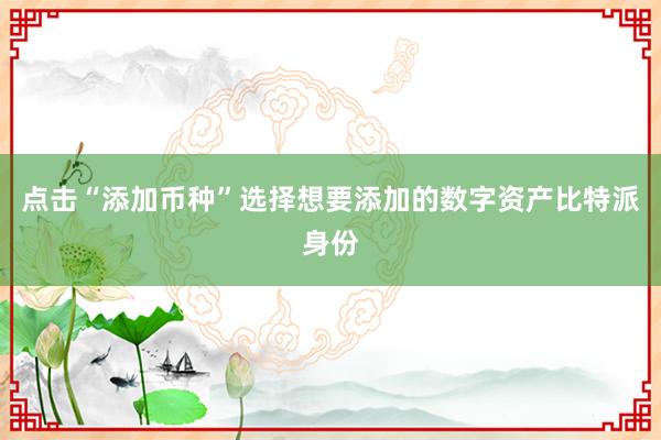 点击“添加币种”选择想要添加的数字资产比特派身份