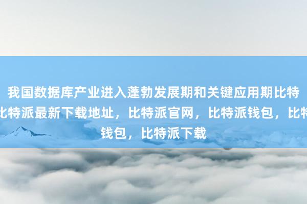 我国数据库产业进入蓬勃发展期和关键应用期比特派身份比特派最新下载地址，比特派官网，比特派钱包，比特派下载