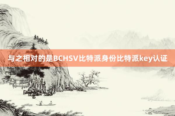 与之相对的是BCHSV比特派身份比特派key认证