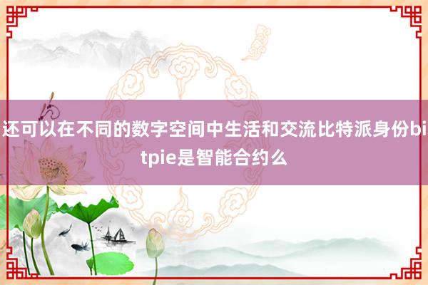 还可以在不同的数字空间中生活和交流比特派身份bitpie是智能合约么