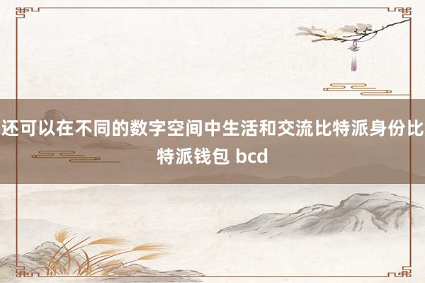 还可以在不同的数字空间中生活和交流比特派身份比特派钱包 bcd