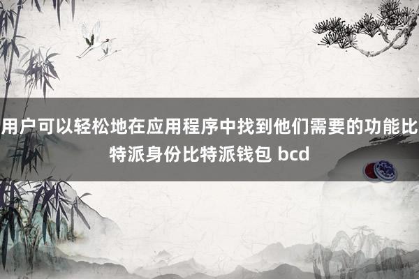 用户可以轻松地在应用程序中找到他们需要的功能比特派身份比特派钱包 bcd