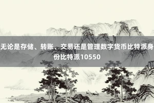 无论是存储、转账、交易还是管理数字货币比特派身份比特派10550