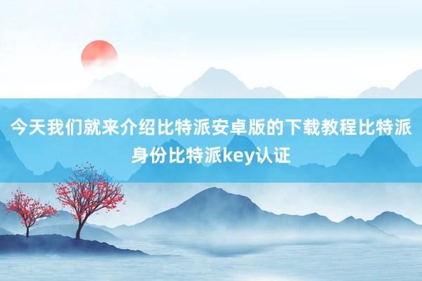 今天我们就来介绍比特派安卓版的下载教程比特派身份比特派key认证