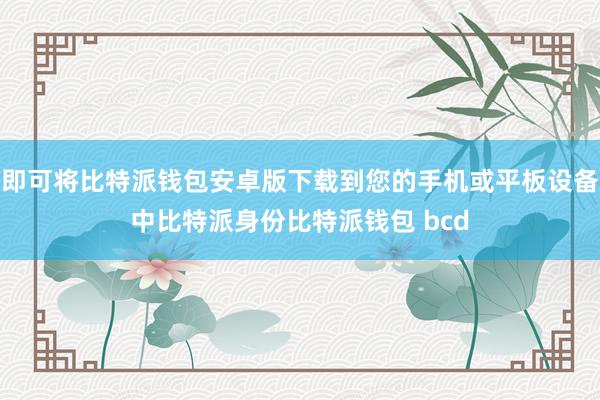 即可将比特派钱包安卓版下载到您的手机或平板设备中比特派身份比特派钱包 bcd