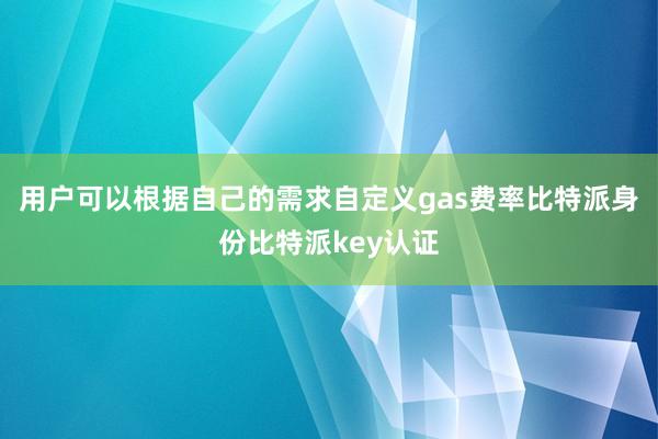 用户可以根据自己的需求自定义gas费率比特派身份比特派key认证