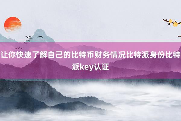 让你快速了解自己的比特币财务情况比特派身份比特派key认证