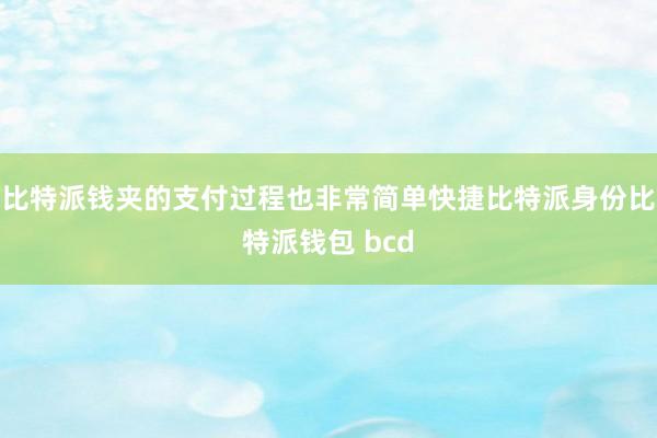 比特派钱夹的支付过程也非常简单快捷比特派身份比特派钱包 bcd