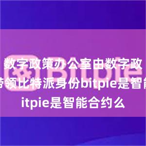 数字政策办公室由数字政策专员带领比特派身份bitpie是智能合约么