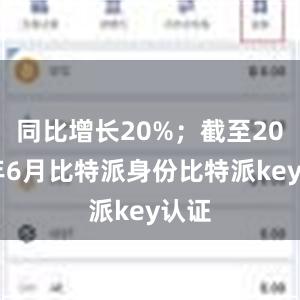 同比增长20%；截至2024年6月比特派身份比特派key认证