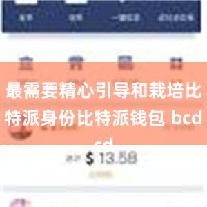 最需要精心引导和栽培比特派身份比特派钱包 bcd