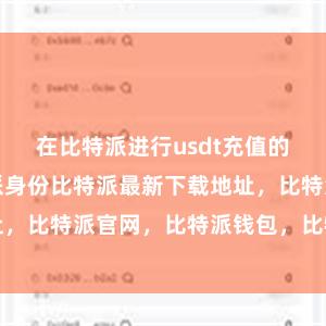 在比特派进行usdt充值的过程中比特派身份比特派最新下载地址，比特派官网，比特派钱包，比特派下载