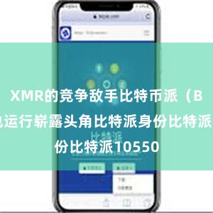 XMR的竞争敌手比特币派（BTC）也运行崭露头角比特派身份比特派10550