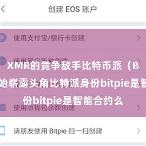 XMR的竞争敌手比特币派（BTC）也初始崭露头角比特派身份bitpie是智能合约么