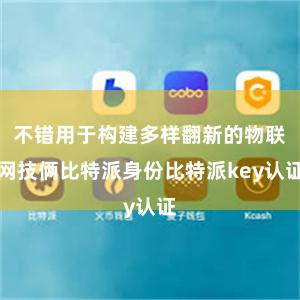 不错用于构建多样翻新的物联网技俩比特派身份比特派key认证